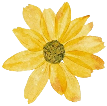 Soniashnyk, Handcrafted Ukrainian Delights Logo